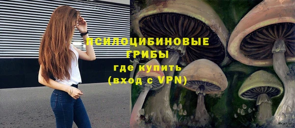 Альфа ПВП Надым