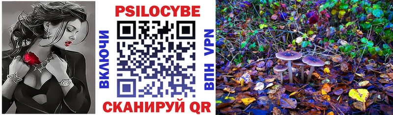 Галлюциногенные грибы Magic Shrooms  купить наркотики сайты  MEGA вход  Калининск 